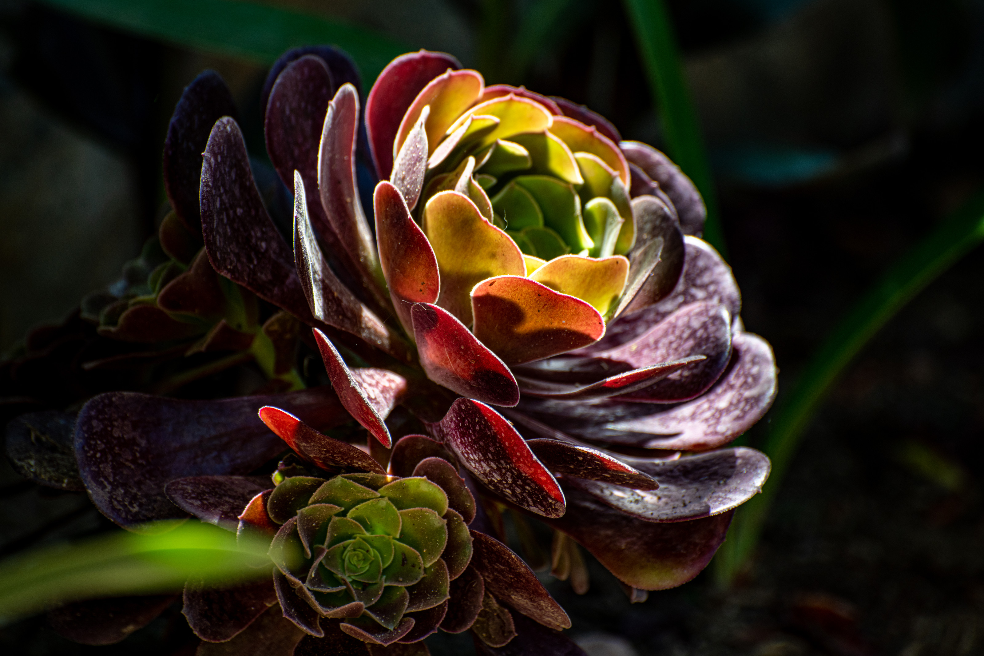 Photograph titled “DSC 7440 1”.
